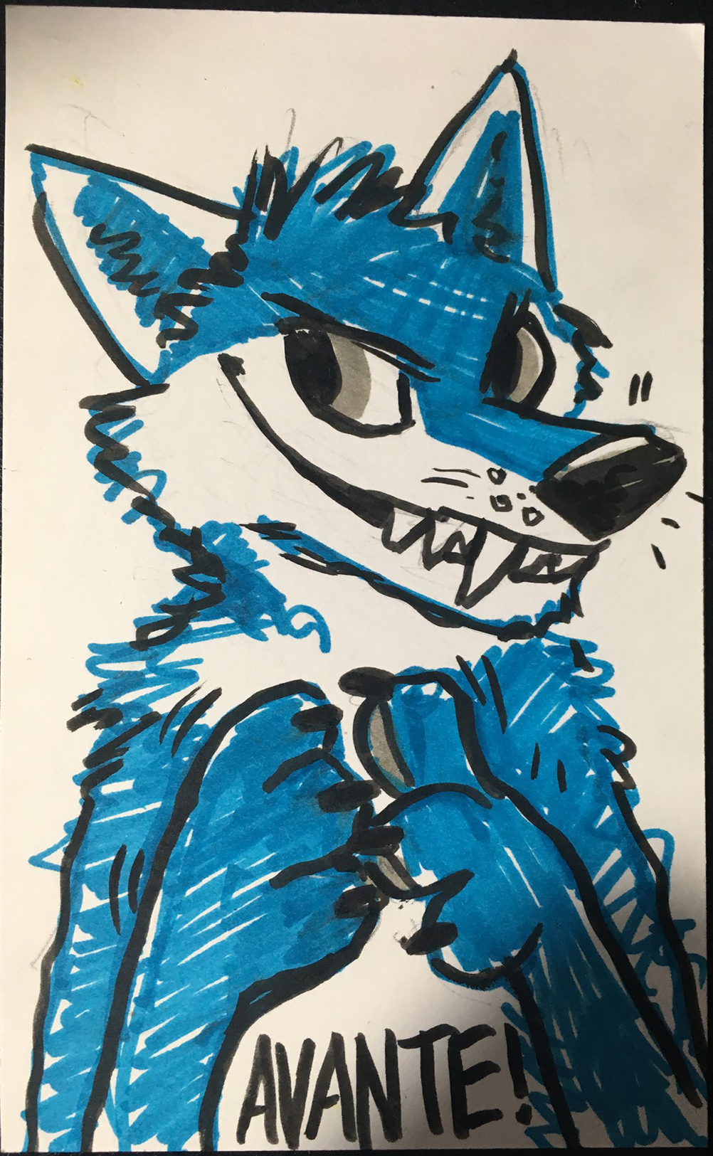 Avante Badge By Kenket