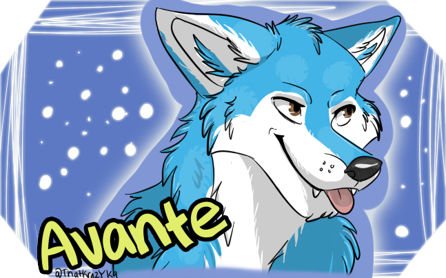 Avante Badge From Kai