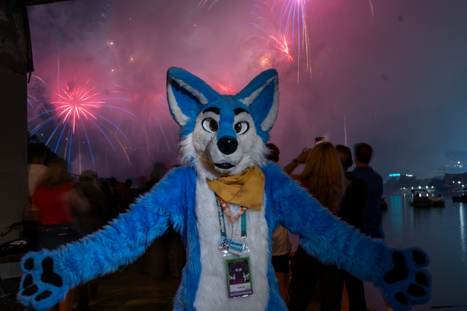 Anthrocon 2026 Fireworks
