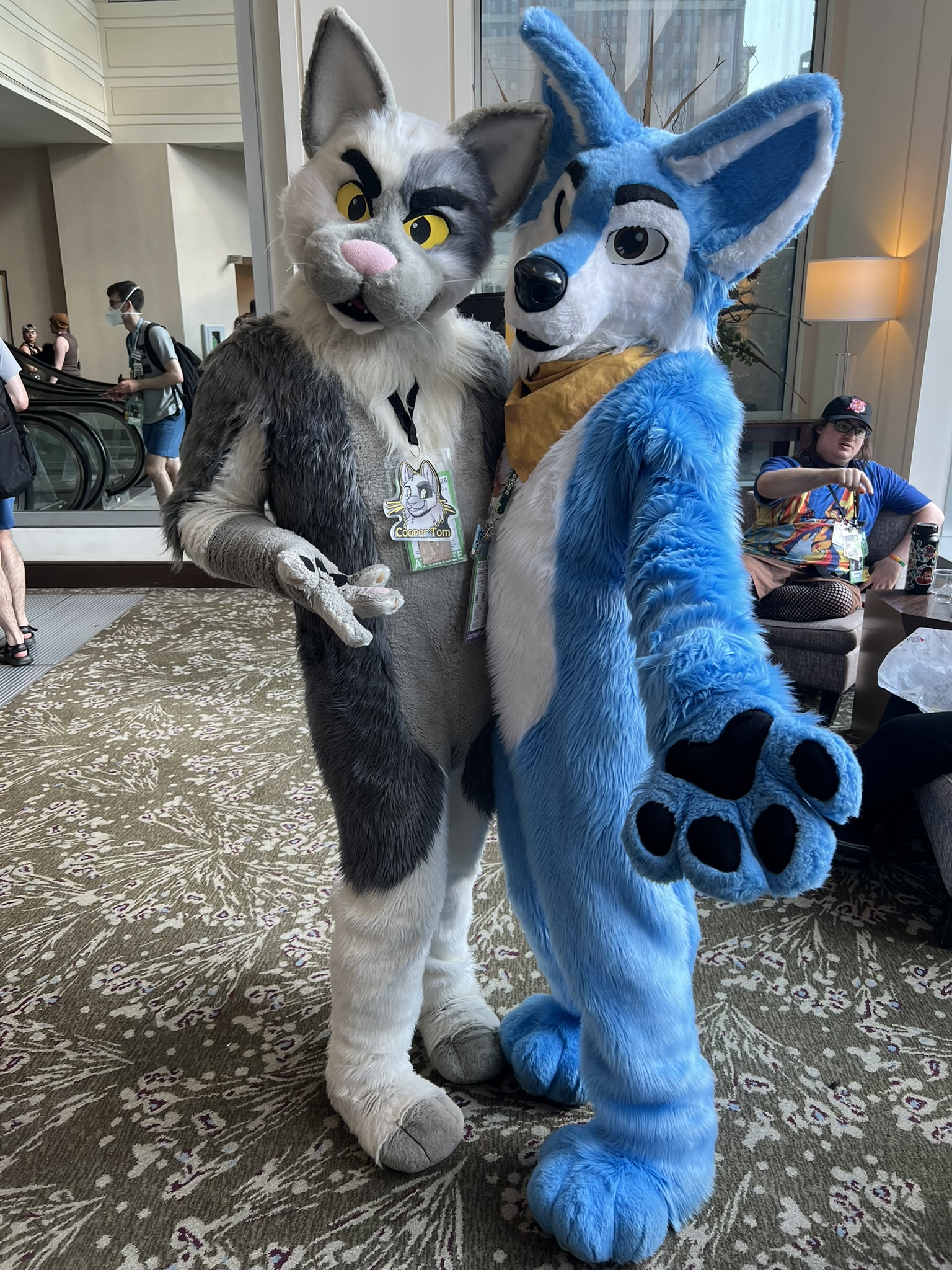 Coopertom.JPEG